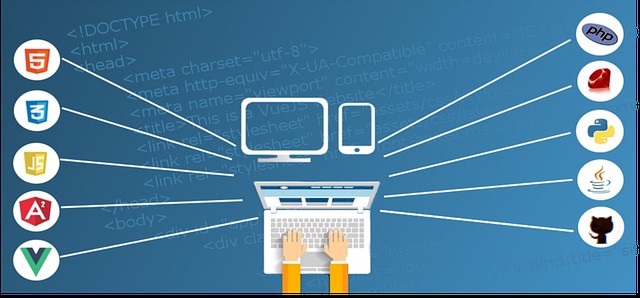 Infografia de Paprika Digital: Un Sitio Web que aporte con tu SEO