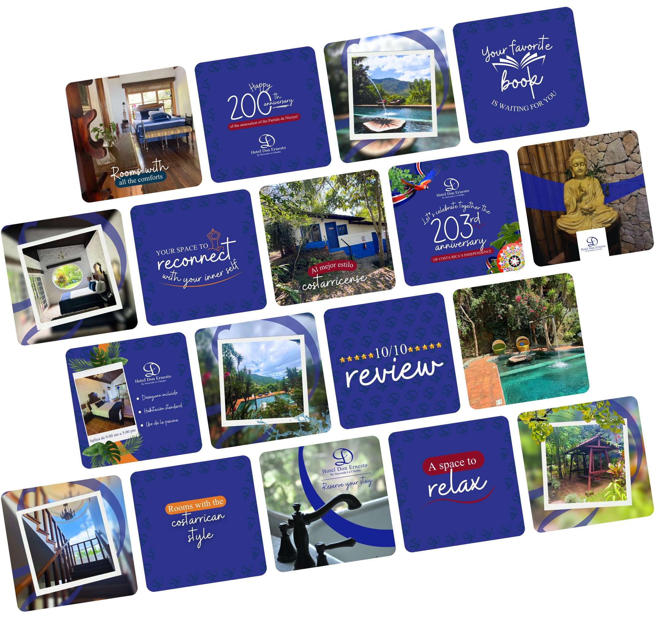Ejemplo de caso de exito de Hotel Don Ernesto, agencia de marketing digital en Costa Rica