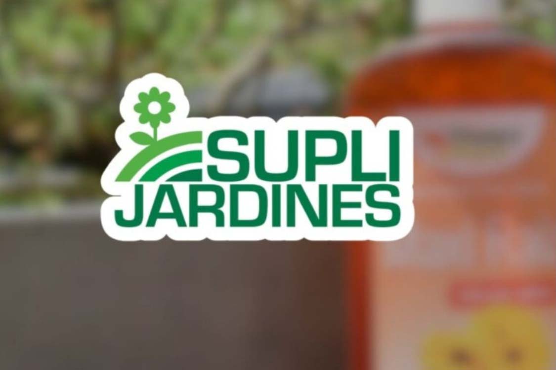 Ejemplo de testimonios de clientes de Paprika Digital, agencia de marketing digital en Costa Rica