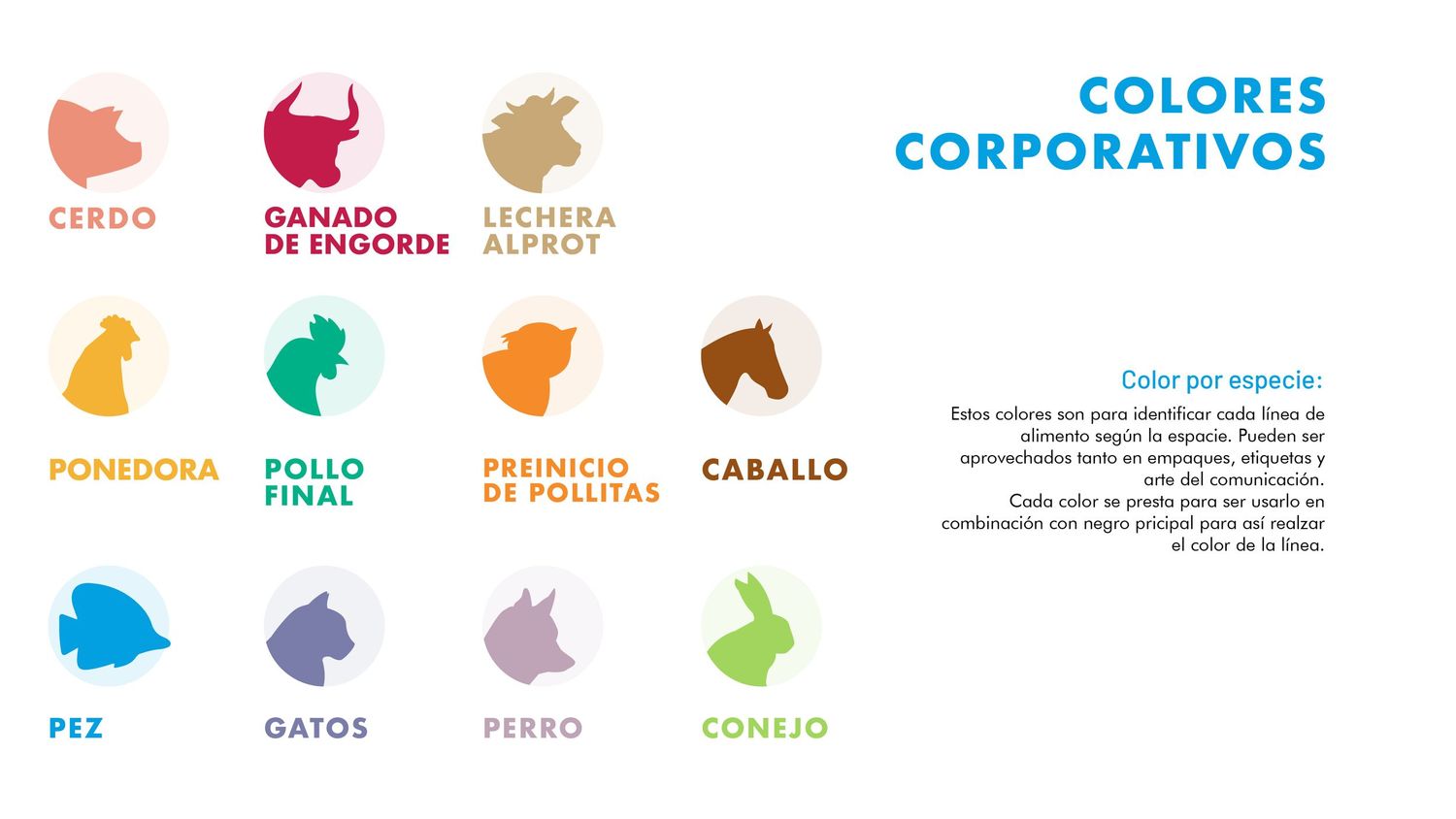 ManualdeMarca_Almosi11