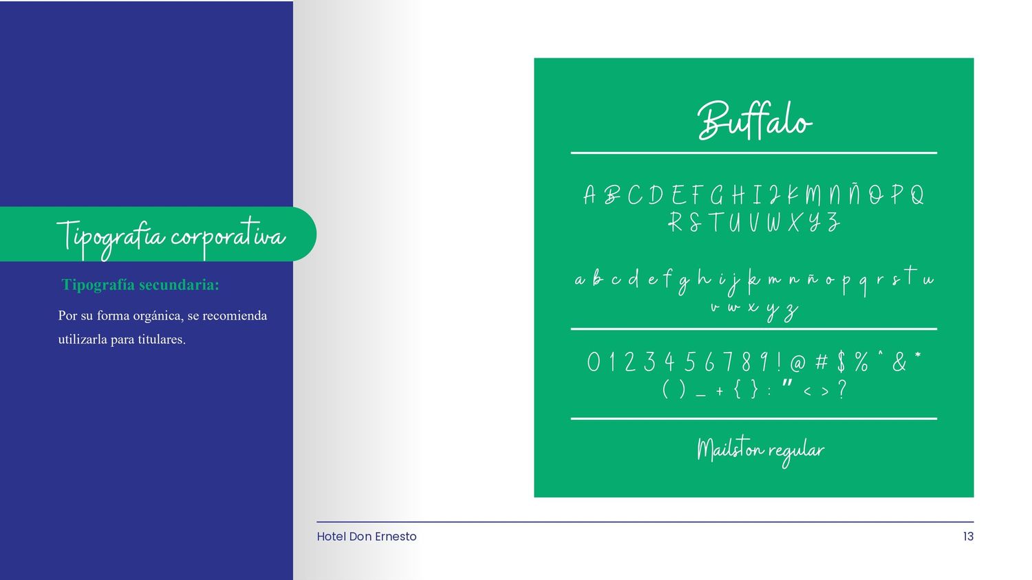 ManualdeMarca_DonErnesto13