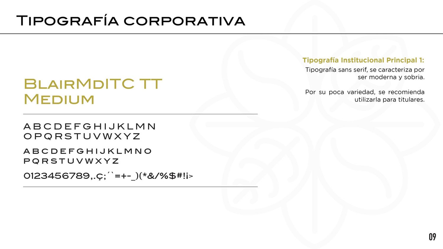 ManualdeMarca_Dorikuk12