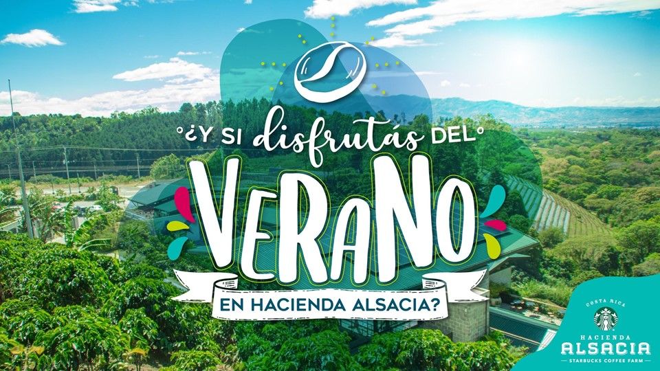 Agencia de Estrategia de Marketing Digital en Costa Rica, Paprika Digital
