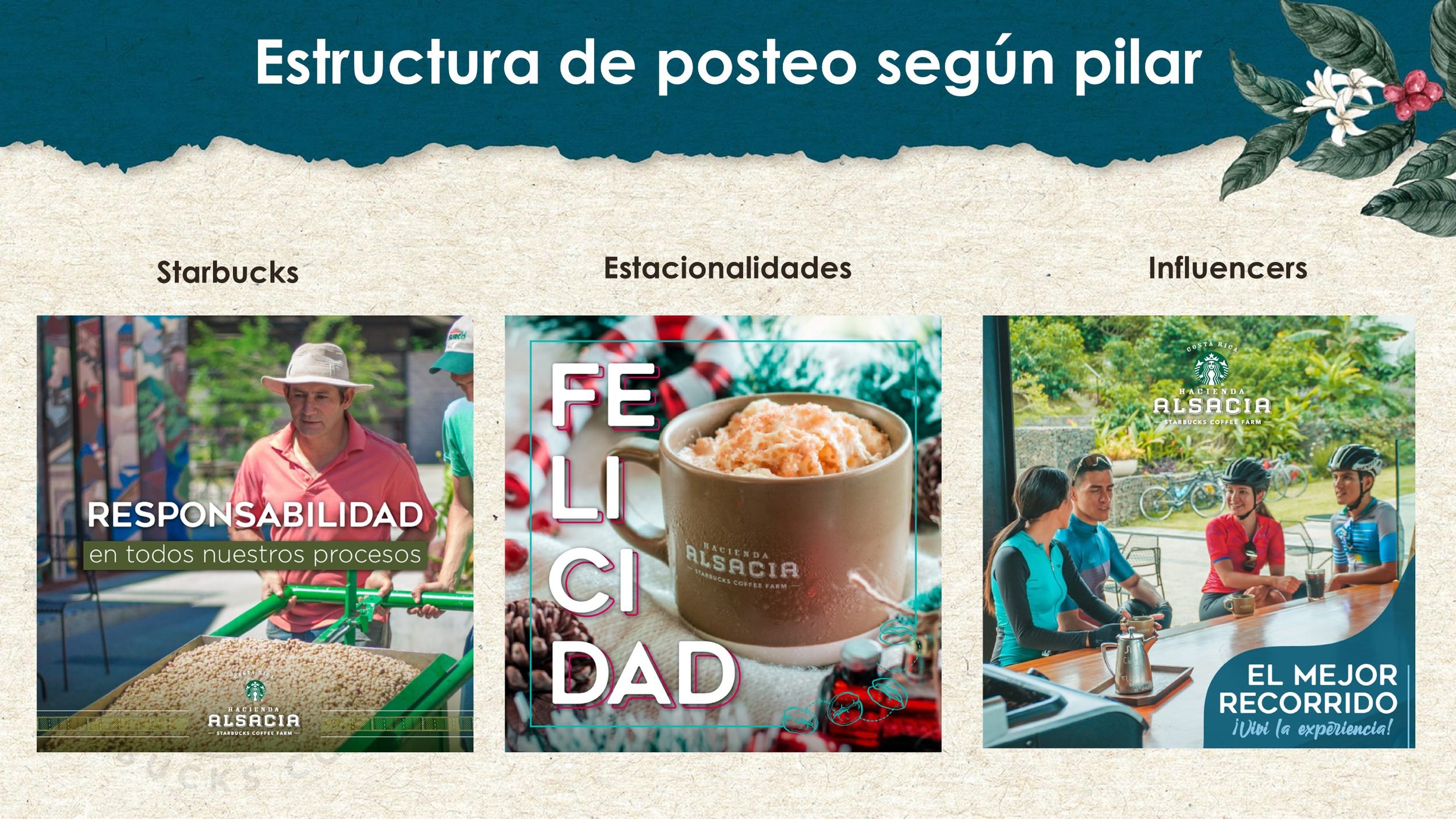 Ejemplo de Planning Estrategico realizado por Paprika Digital