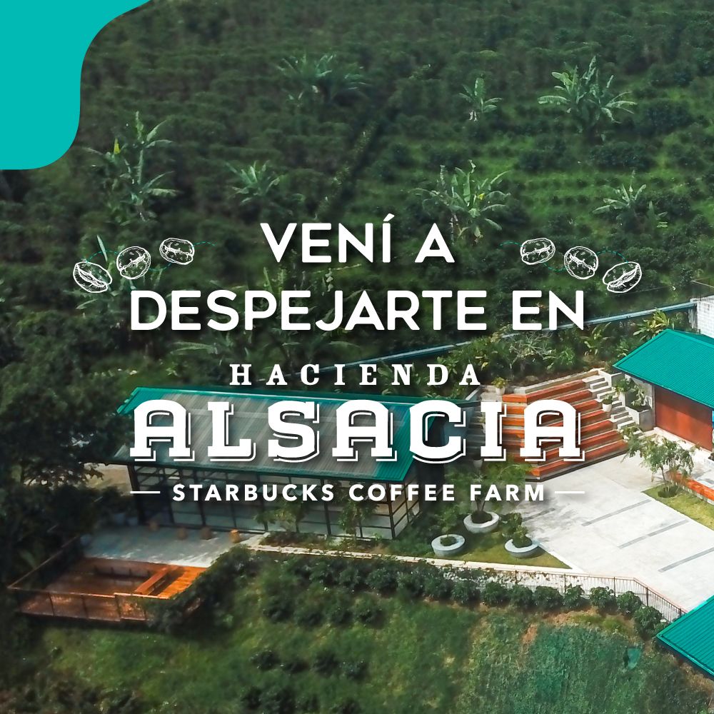 Ejemplo de gestion de redes sociales para Alsacia, agencia de marketing digital en Costa Rica