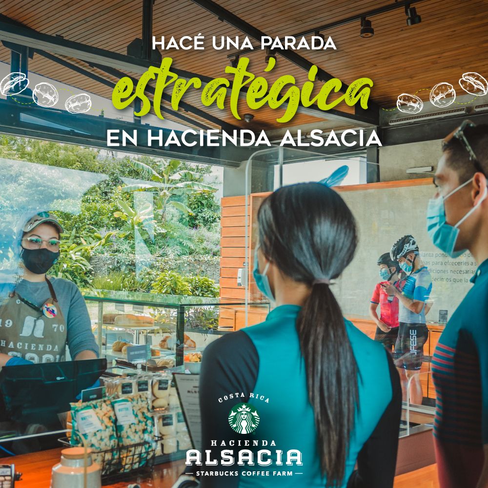 Ejemplo de gestion de redes sociales para Alsacia, agencia de marketing digital en Costa Rica