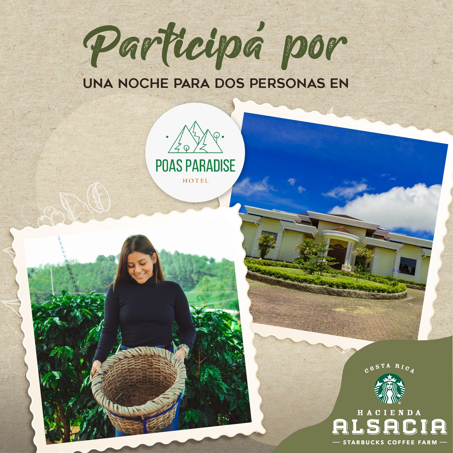 Trabajo de gestion de redes sociales para Alsacia hecho por el equipo de Paprika Digital