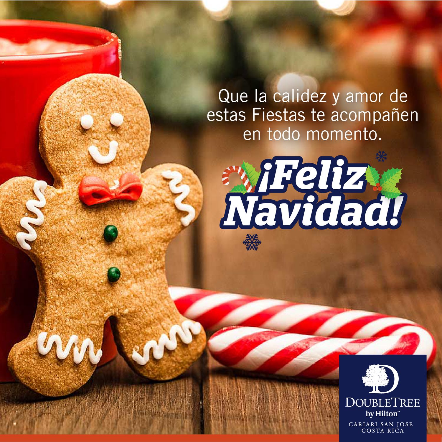 Ejemplo de gestion de redes sociales para Alsacia – Double Tree, agencia de marketing digital en Costa Rica