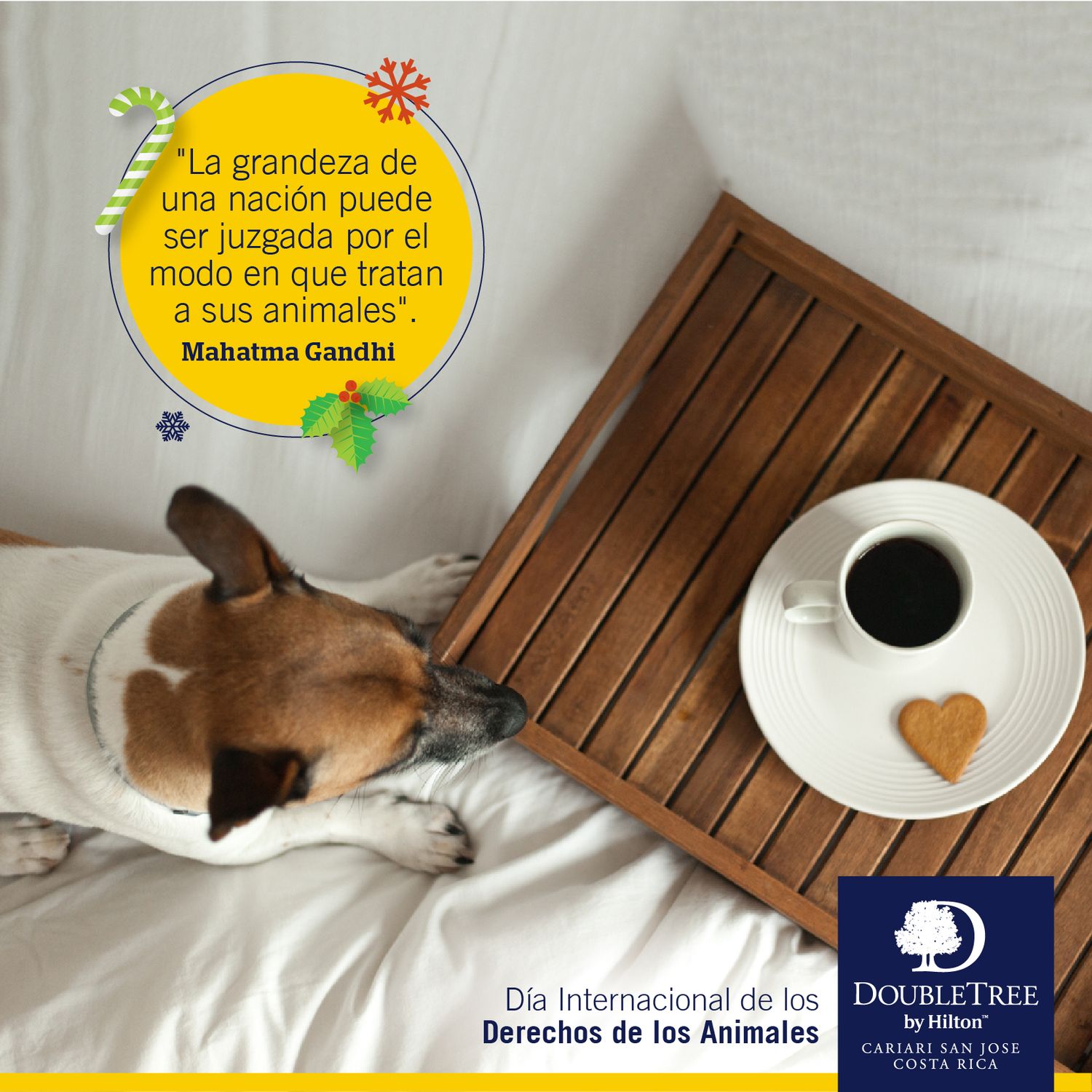 Resultado de gestion de redes sociales para Alsacia – Double Tree desarrollado por Paprika Digital