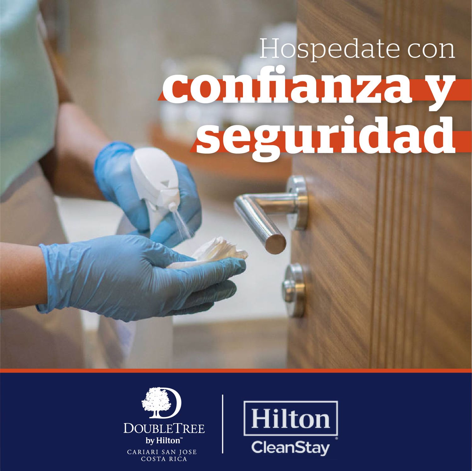 Proyecto de gestion de redes sociales para Alsacia – Double Tree realizado por Paprika Digital