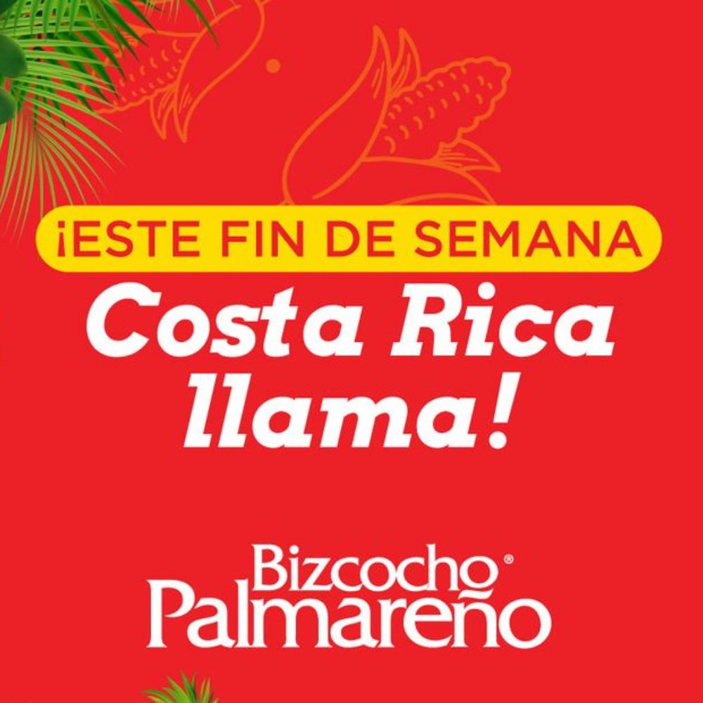 Ejemplo de gestion de redes sociales para Bizcocho Palmareño, agencia de marketing digital en Costa Rica