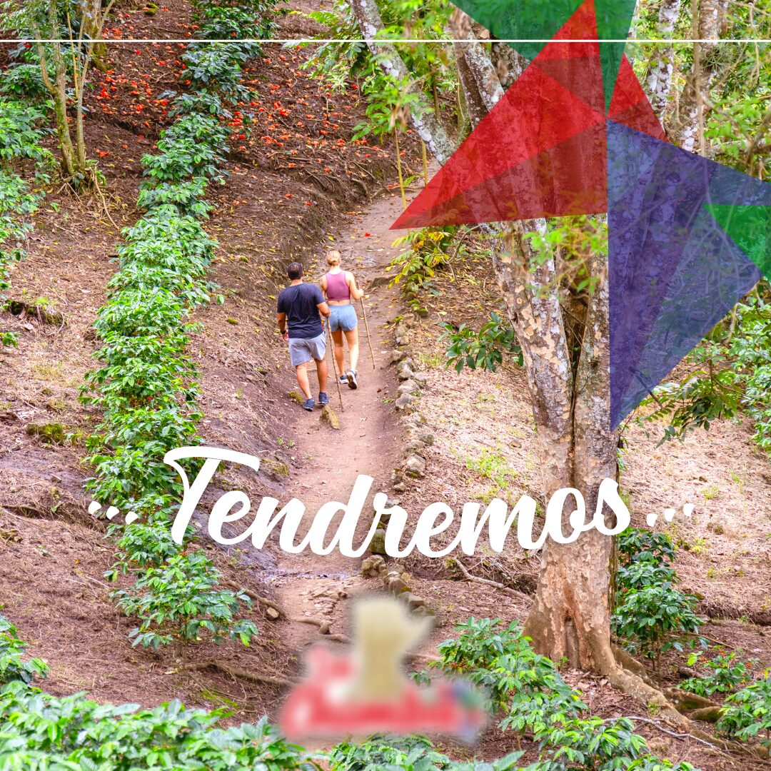 Resultado de gestion de redes sociales para Hacienda la Chimba desarrollado por Paprika Digital