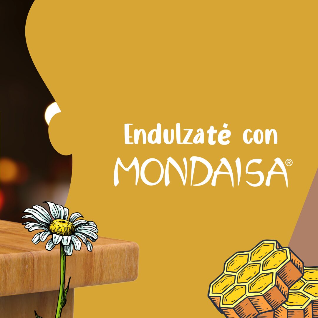 Proyecto de gestion de redes sociales para Mondaisa realizado por Paprika Digital