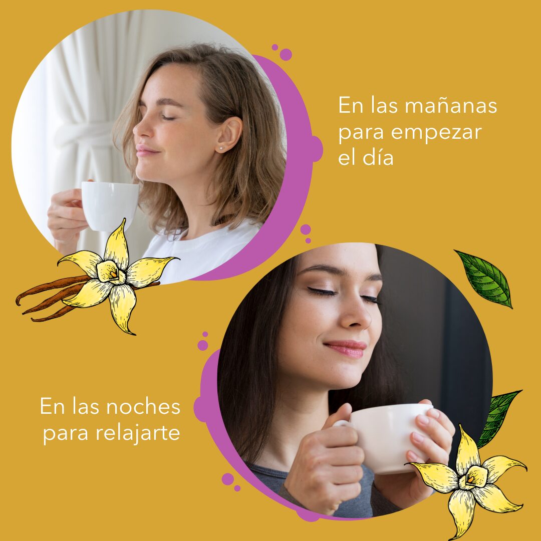 Resultado de gestion de redes sociales para Mondaisa desarrollado por Paprika Digital