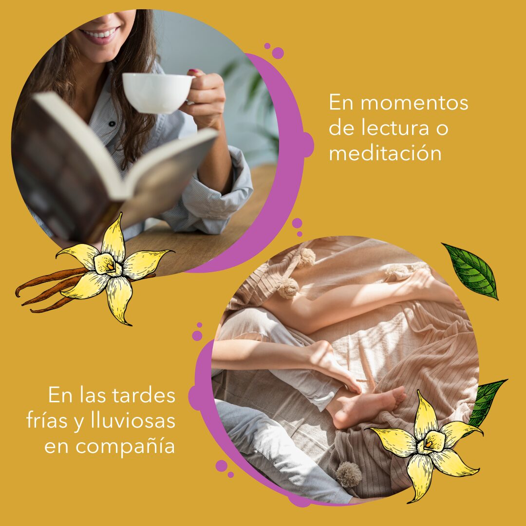 Trabajo de gestion de redes sociales para Mondaisa hecho por el equipo de Paprika Digital