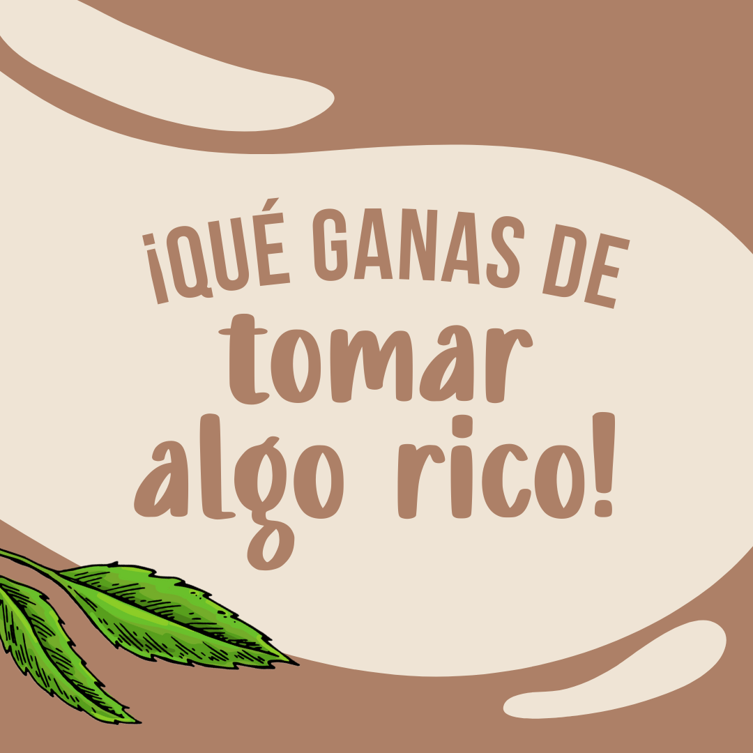 Resultado de gestion de redes sociales para Mondaisa desarrollado por Paprika Digital
