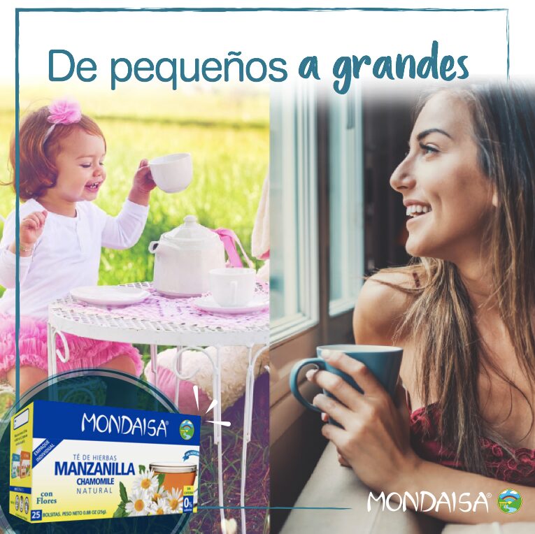 Proyecto de gestion de redes sociales para Mondaisa realizado por Paprika Digital