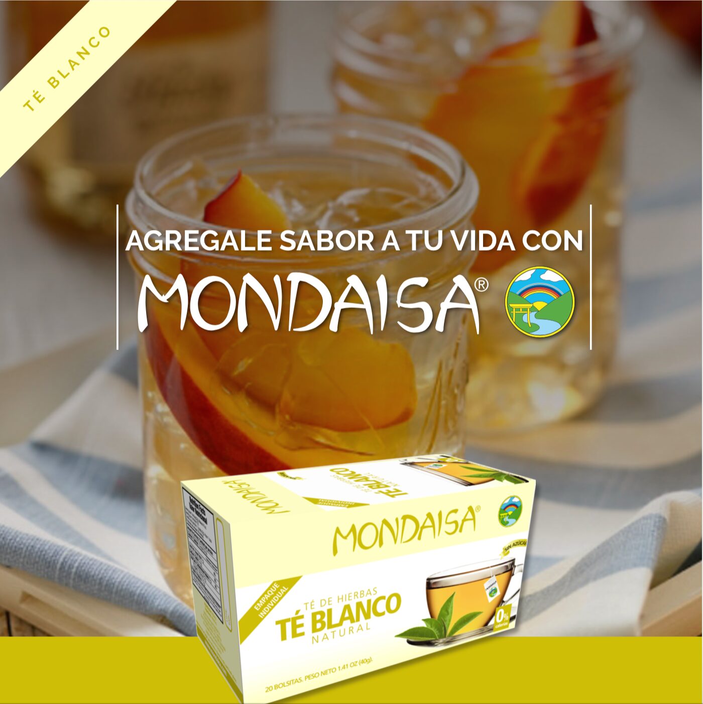 Resultado de gestion de redes sociales para Mondaisa desarrollado por Paprika Digital