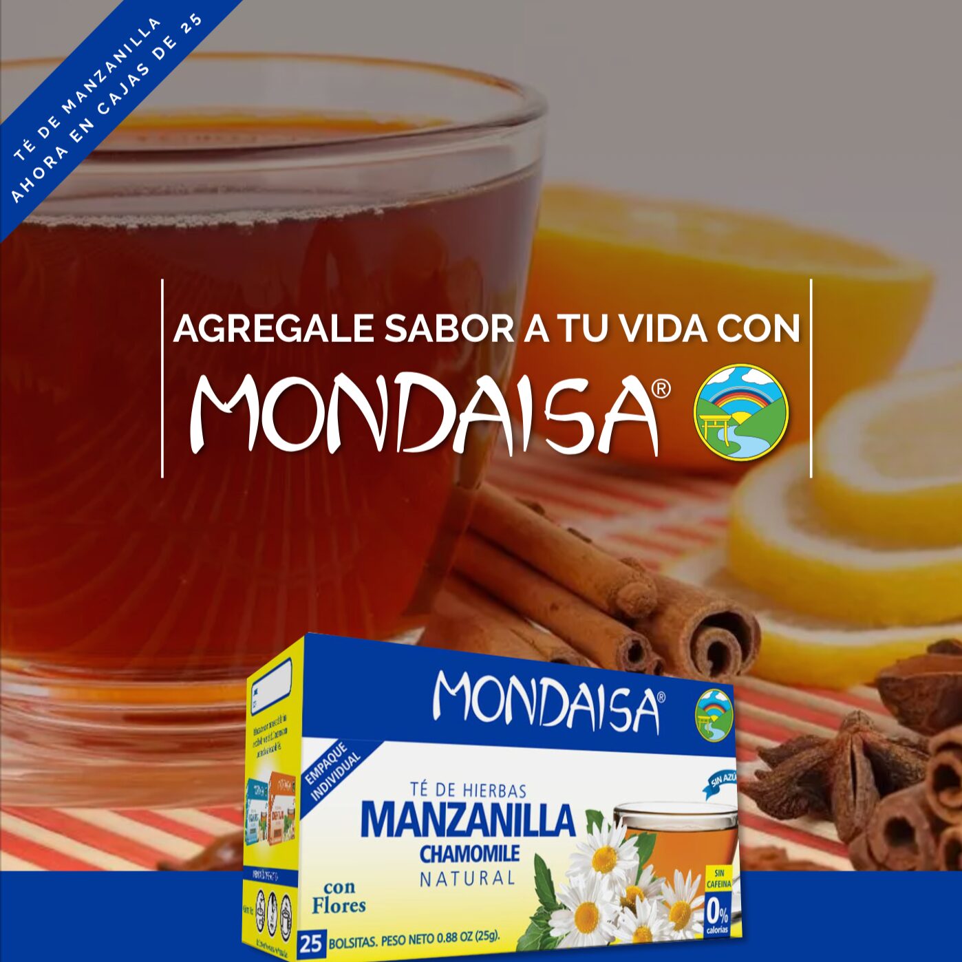 Trabajo de gestion de redes sociales para Mondaisa hecho por el equipo de Paprika Digital
