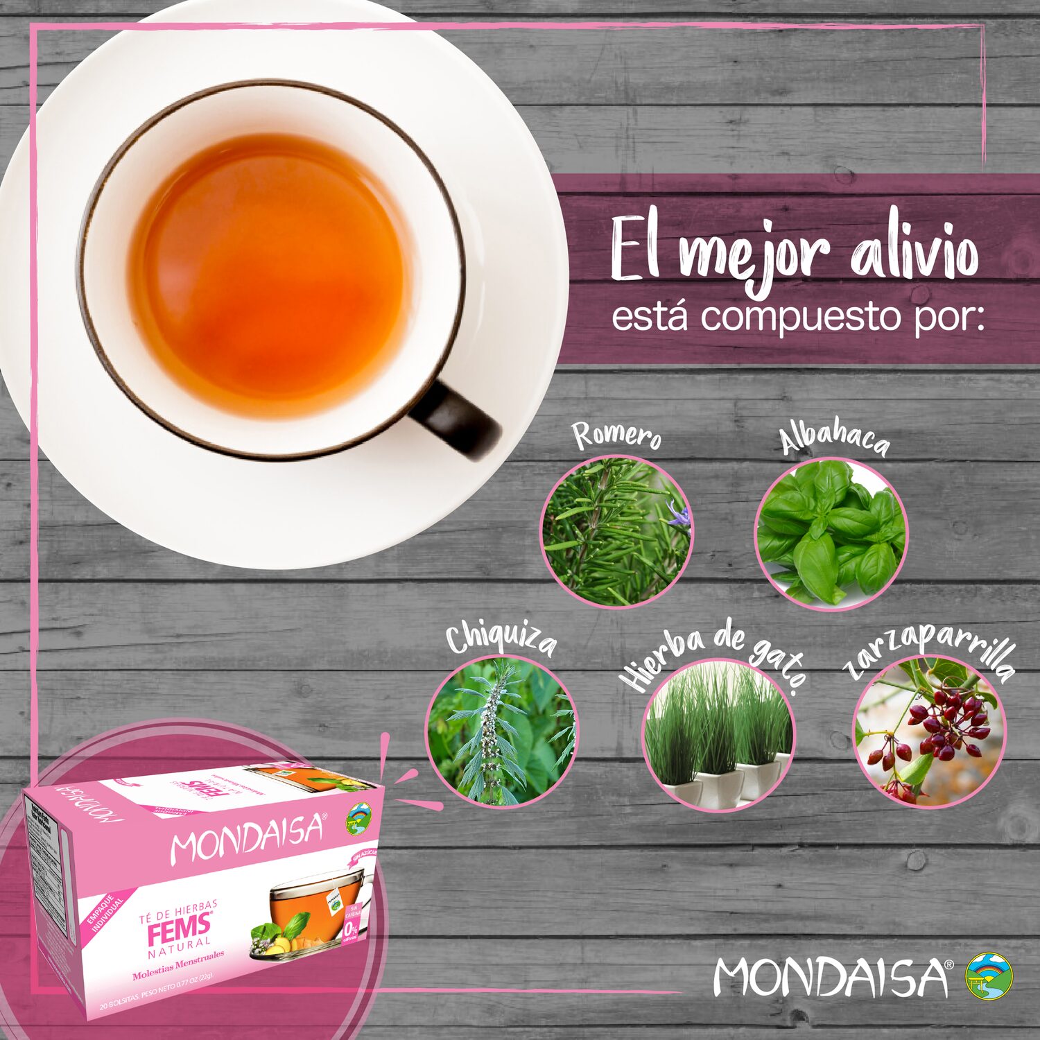 Ejemplo de gestion de redes sociales para Mondaisa, agencia de marketing digital en Costa Rica