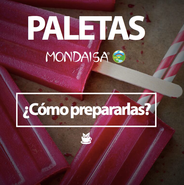 Proyecto de gestion de redes sociales para Mondaisa realizado por Paprika Digital