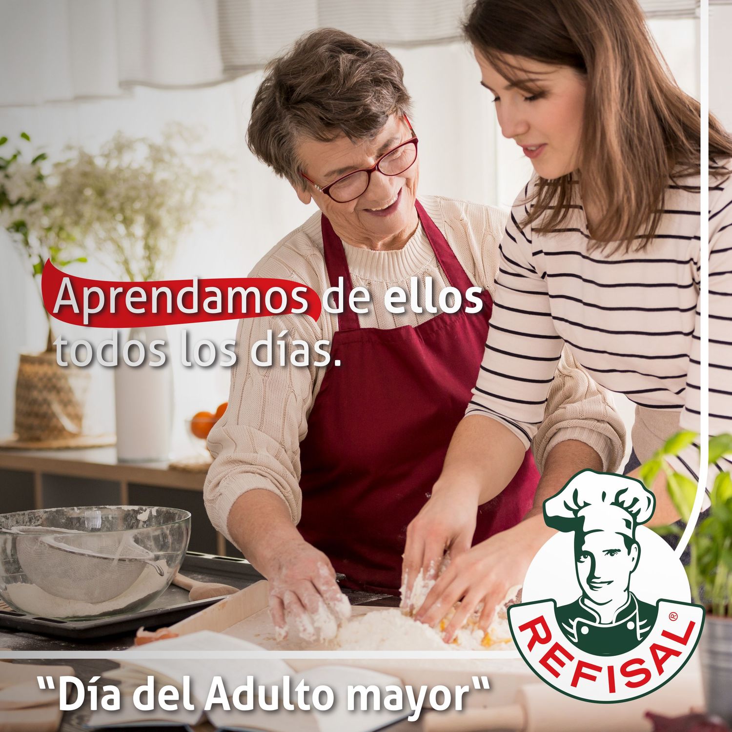 Trabajo de gestion de redes sociales para Refisal hecho por el equipo de Paprika Digital