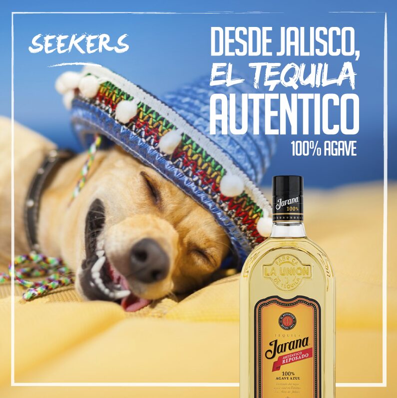 Resultado de gestion de redes sociales para Seekers desarrollado por Paprika Digital