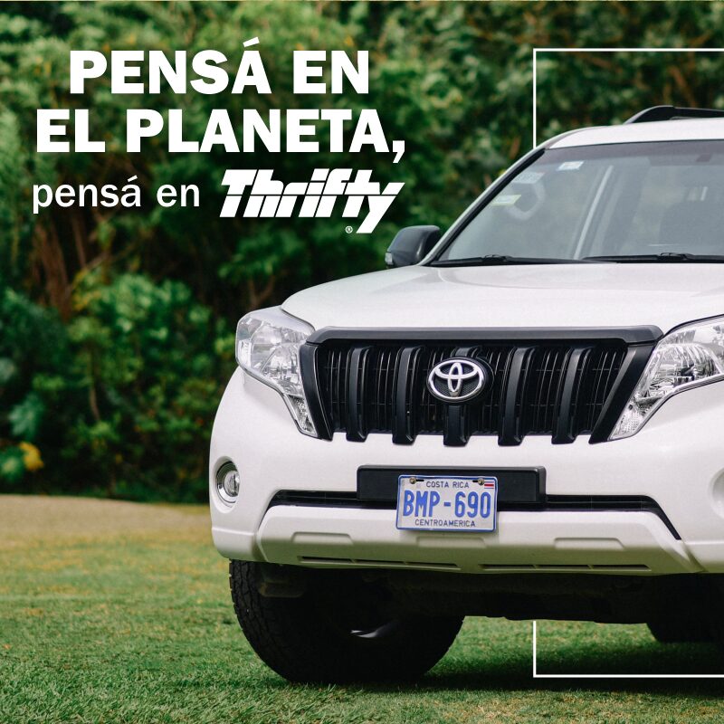 Ejemplo de gestion de redes sociales para Thrifty, agencia de marketing digital en Costa Rica