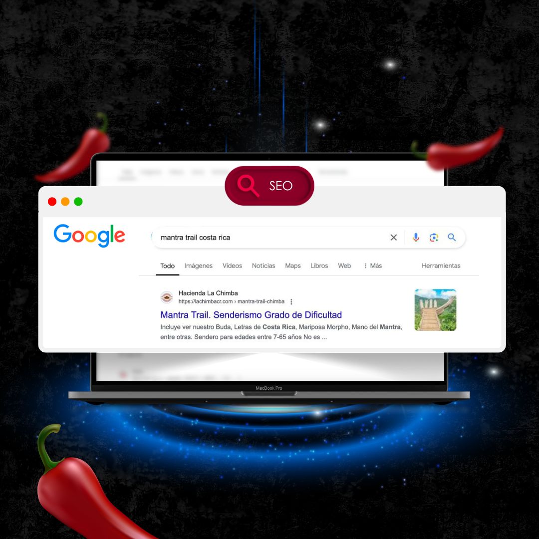 Agencia de Posicionamiento SEO en Costa Rica, Paprika Digital